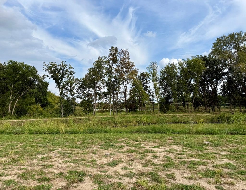 Custom Lots